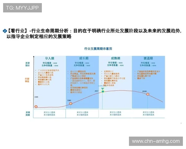 分析皇冠会员端的数据分析能力，助力企业科学决策与市场拓展