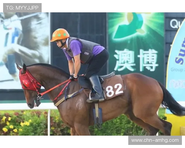 澳门赛马规则实施中的常见问题与应对策略全方位解读