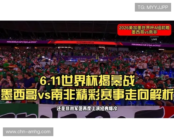 墨西哥对南非比赛的精彩瞬间回放与赛后精彩点评分析